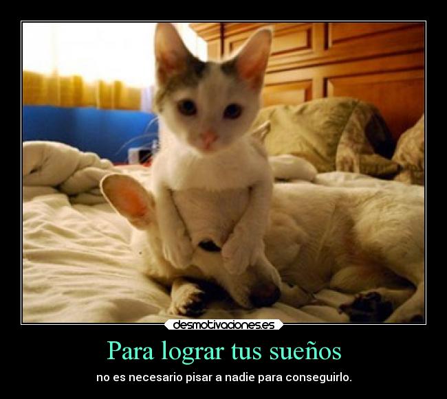 carteles nnx desmotivaciones