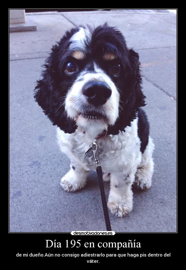 Día 195 en compañía -