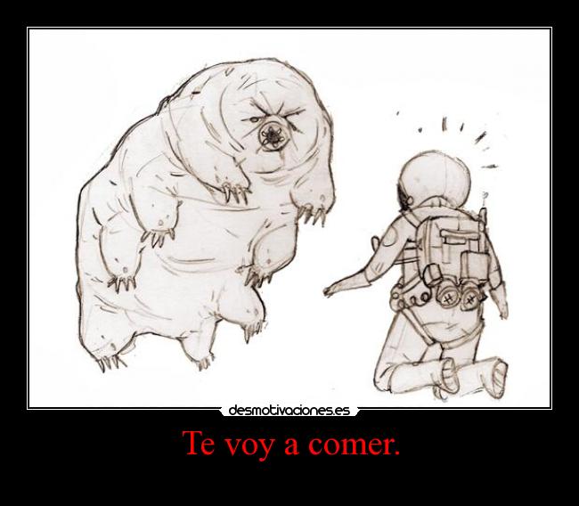 Te voy a comer. -