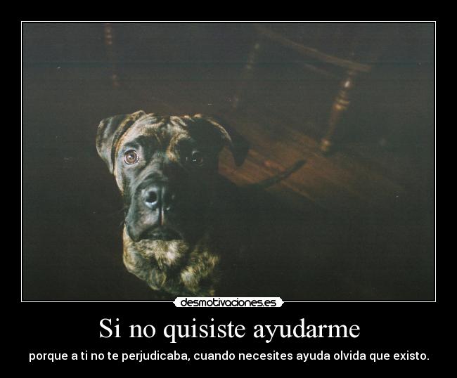 Si no quisiste ayudarme - 