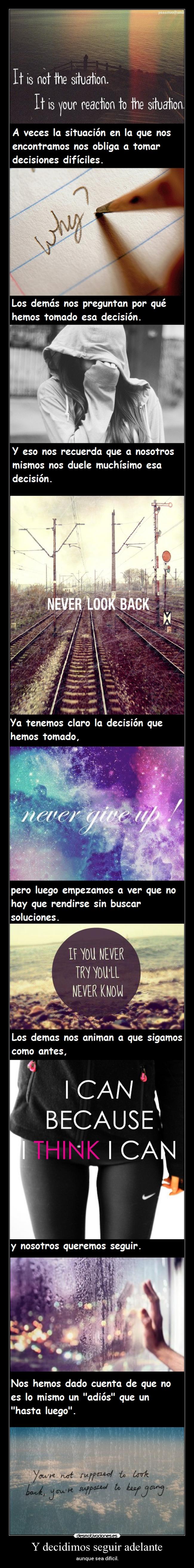 Y decidimos seguir adelante -