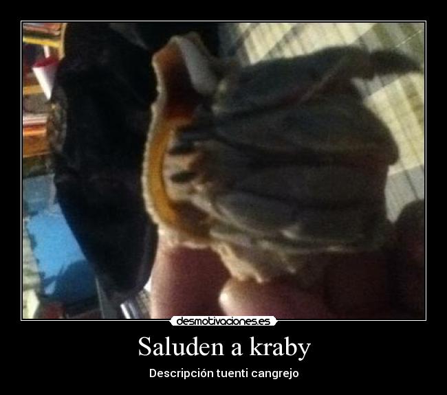Saluden a kraby - 