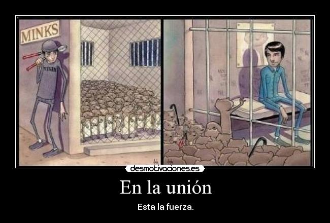 En la unión - Esta la fuerza.