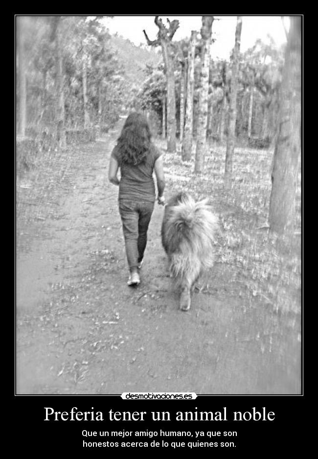 Preferia tener un animal noble - Que un mejor amigo humano, ya que son
honestos acerca de lo que quienes son.