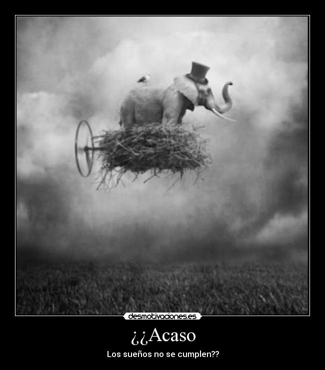 ¿¿Acaso -