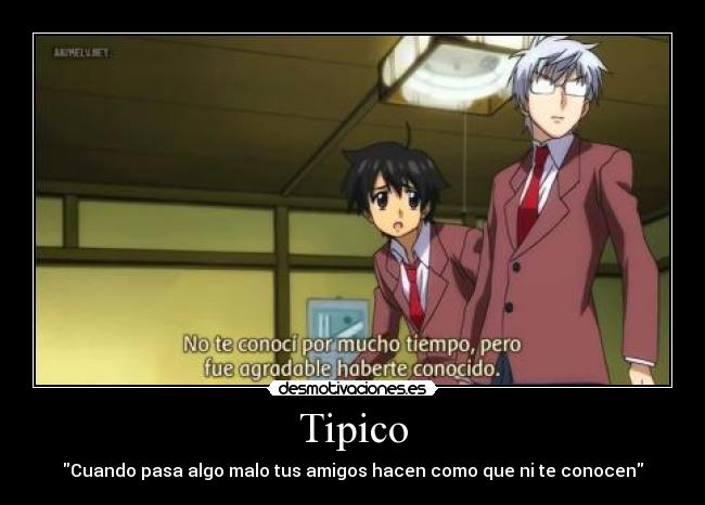 carteles amigos desmotivaciones