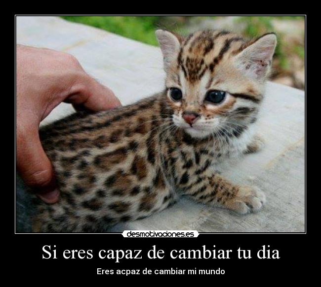 Si eres capaz de cambiar tu dia -