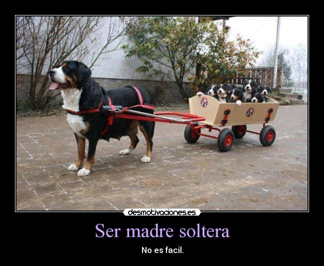 Ser madre soltera - No es facil.