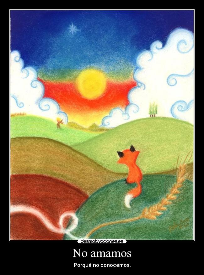 No amamos - Porqué no conocemos.
