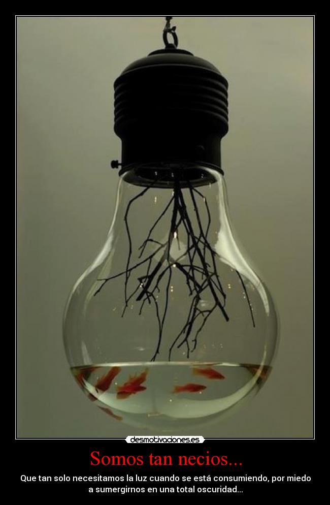 Somos tan necios... - Que tan solo necesitamos la luz cuando se está consumiendo, por miedo
a sumergirnos en una total oscuridad...