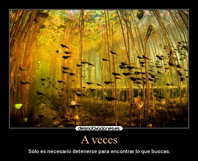 A veces - Sólo es necesario detenerse para encontrar lo que buscas.