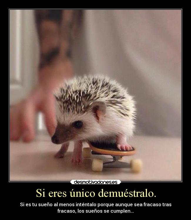 Si eres único demuéstralo. - Si es tu sueño al menos inténtalo porque aunque sea fracaso tras
fracaso, los sueños se cumplen...