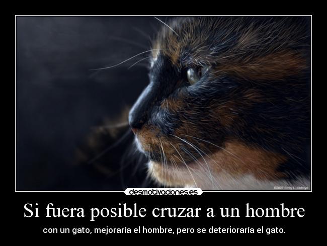 Si fuera posible cruzar a un hombre - con un gato, mejoraría el hombre, pero se deterioraría el gato.
