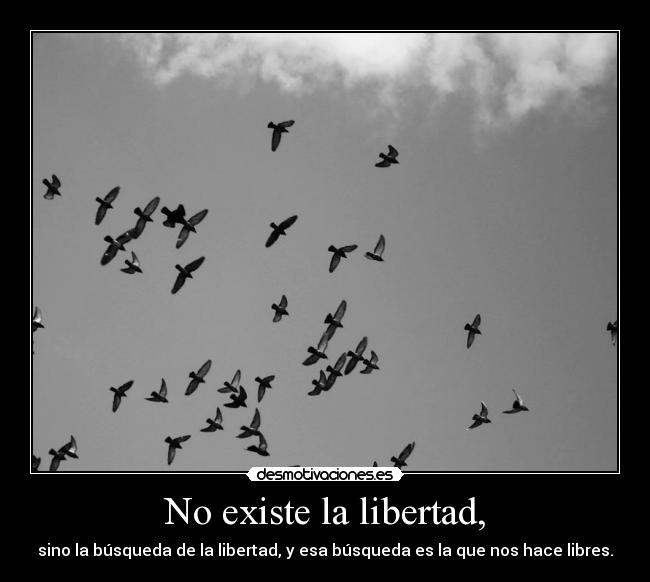 carteles libertad libertad buscarla que nos hace libres frase celebre desmotivaciones