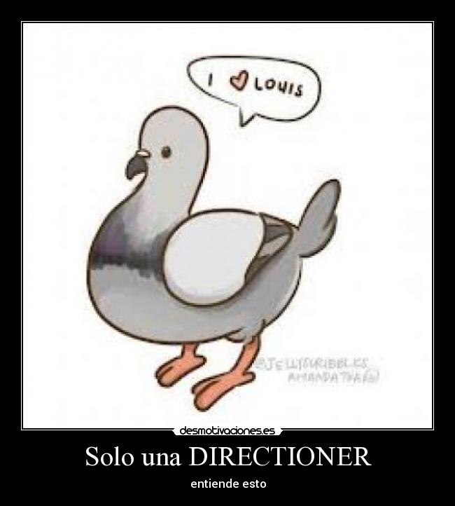 Solo una DIRECTIONER - entiende esto