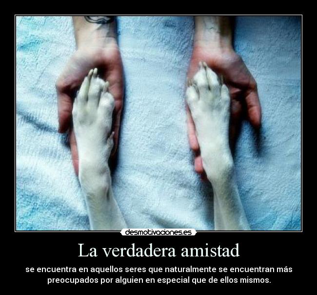 carteles amistad cosas vida desmotivaciones