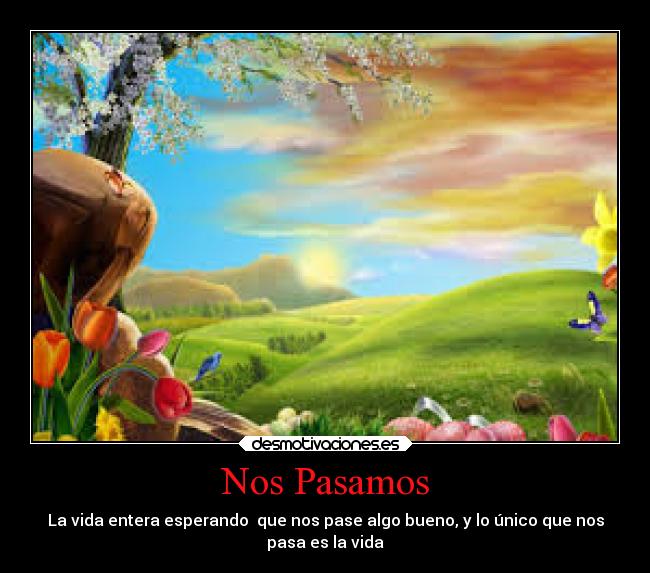 Nos Pasamos - 