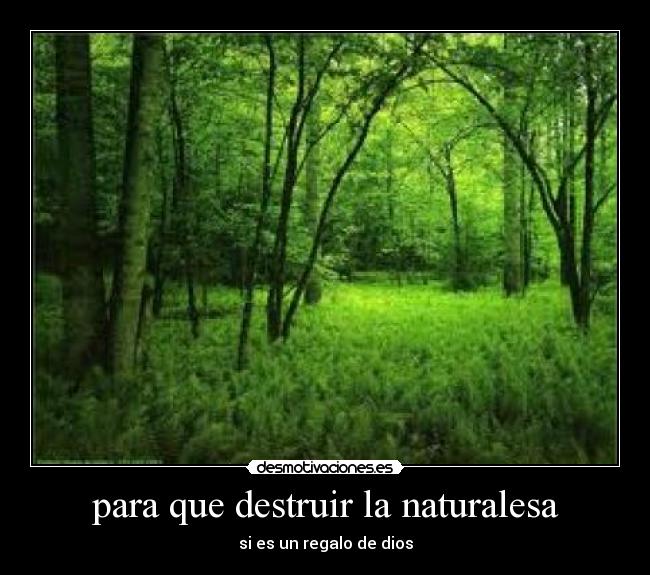 para que destruir la naturalesa - 