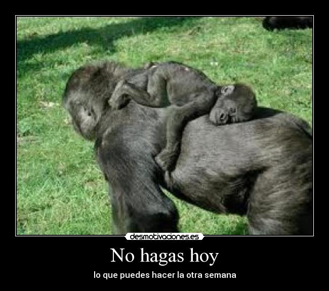 No hagas hoy - lo que puedes hacer la otra semana