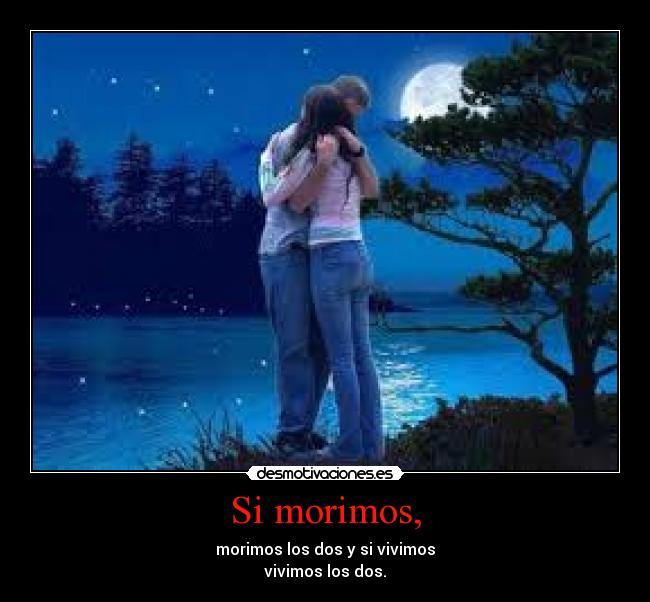 carteles frases doramas girlfriend gumiho desmotivaciones