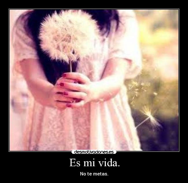 Es mi vida. - 