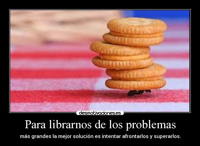 carteles problemas una hormiga con problema pesado desmotivaciones