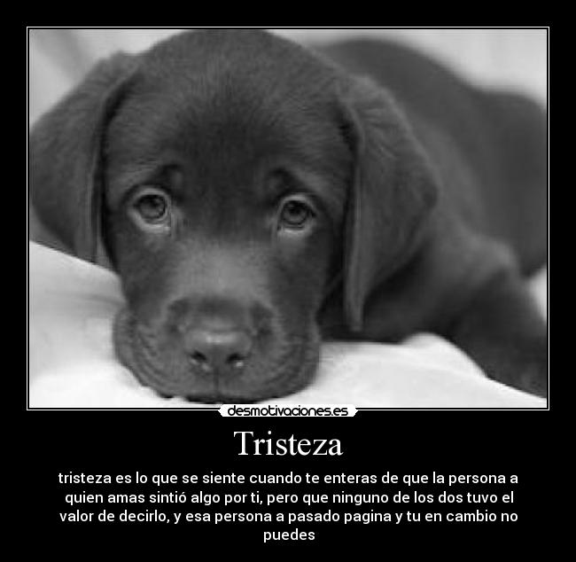 Tristeza - tristeza es lo que se siente cuando te enteras de que la persona a
quien amas sintió algo por ti, pero que ninguno de los dos tuvo el
valor de decirlo, y esa persona a pasado pagina y tu en cambio no
puedes