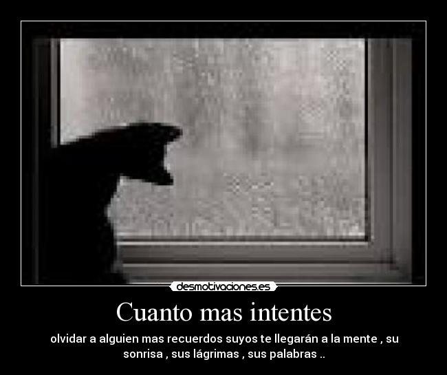 Cuanto mas intentes - olvidar a alguien mas recuerdos suyos te llegarán a la mente , su
sonrisa , sus lágrimas , sus palabras ..