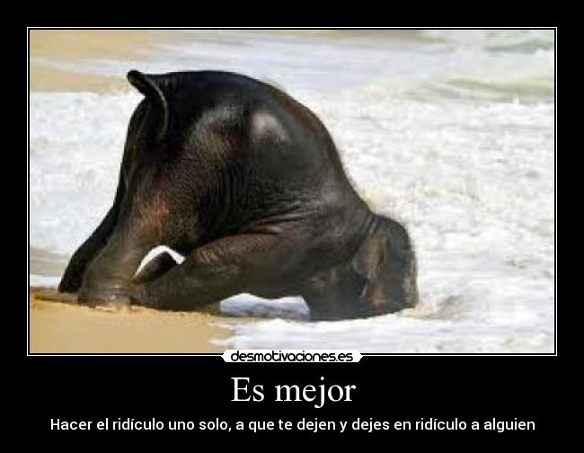 carteles mejor hacer ridiculo uno mismo desmotivaciones