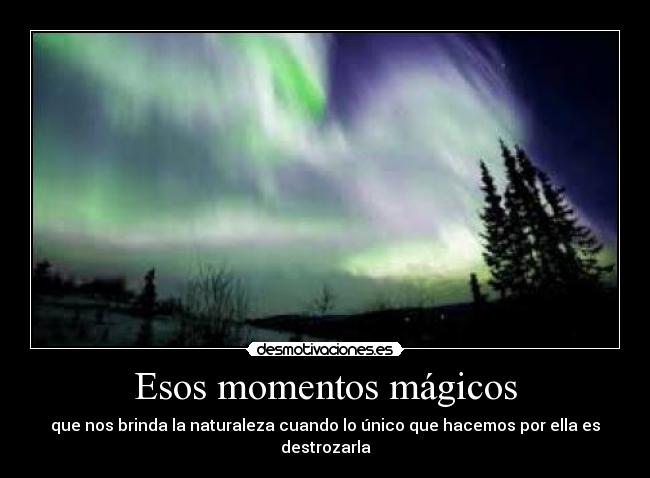 Esos momentos mágicos - 