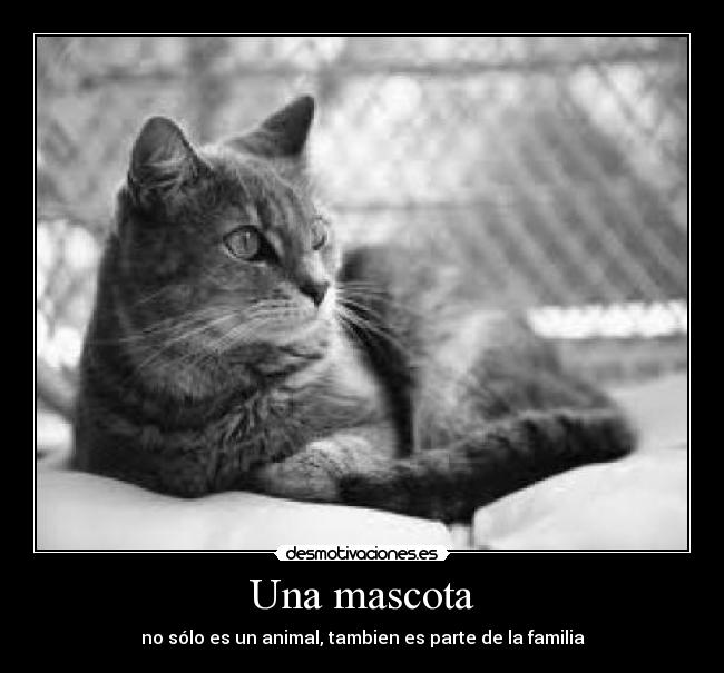Una mascota - no sólo es un animal, tambien es parte de la familia