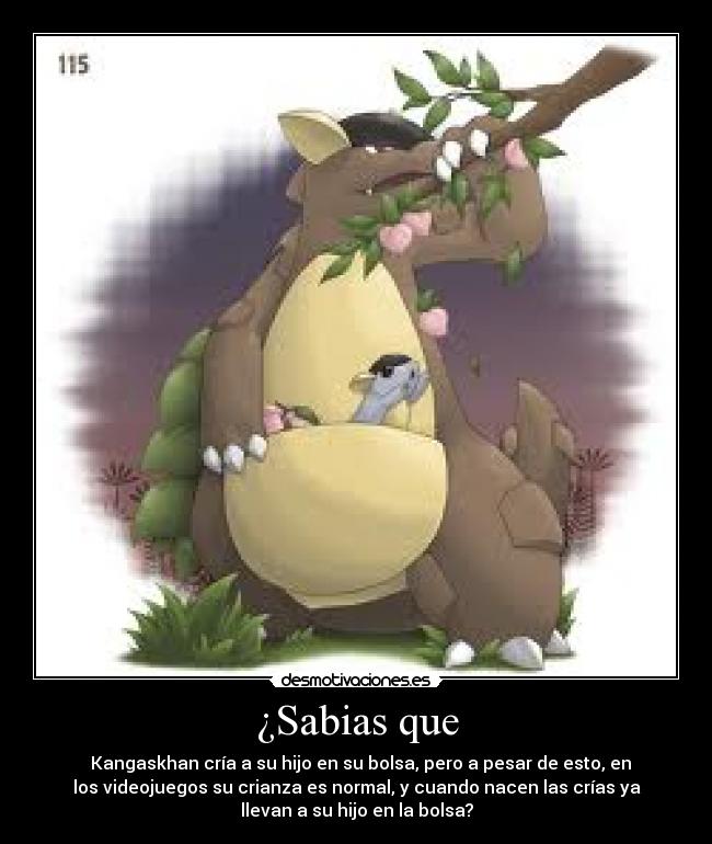 ¿Sabias que - Kangaskhan cría a su hijo en su bolsa, pero a pesar de esto, en
los videojuegos su crianza es normal, y cuando nacen las crías ya
llevan a su hijo en la bolsa?