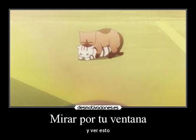 Mirar por tu ventana - y ver esto