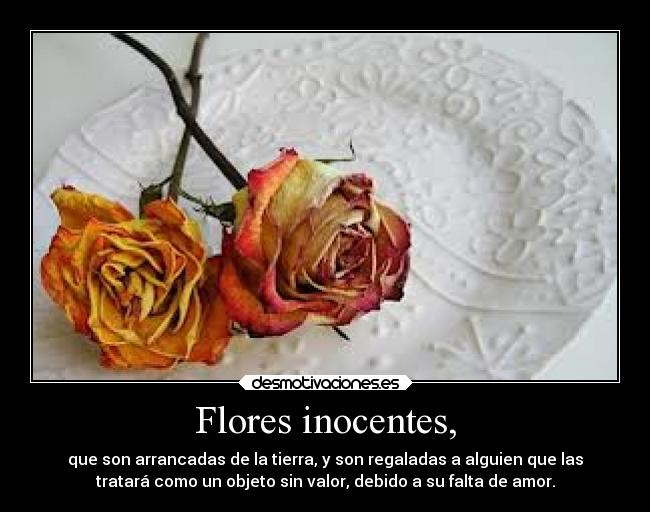 Flores inocentes, -