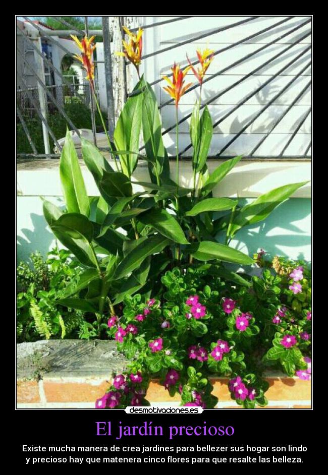 El jardín precioso - Existe mucha manera de crea jardines para bellezer sus hogar son lindo
y precioso hay que matenera cinco flores para que resalte las belleza.