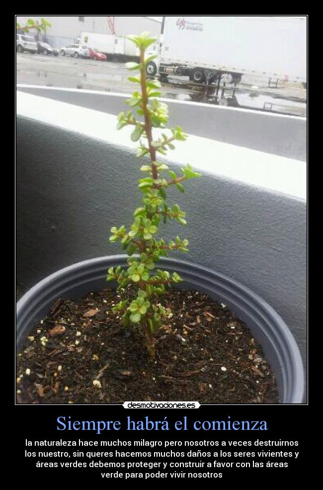 Siempre habrá el comienza - la naturaleza hace muchos milagro pero nosotros a veces destruirnos
los nuestro, sin queres hacemos muchos daños a los seres vivientes y
áreas verdes debemos proteger y construir a favor con las áreas
verde para poder vivir nosotros