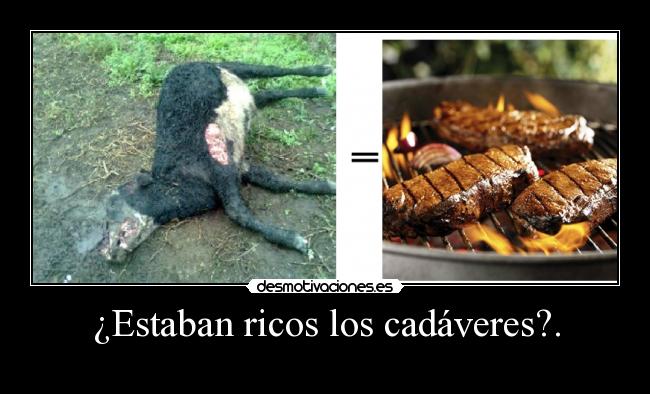 ¿Estaban ricos los cadáveres?. -