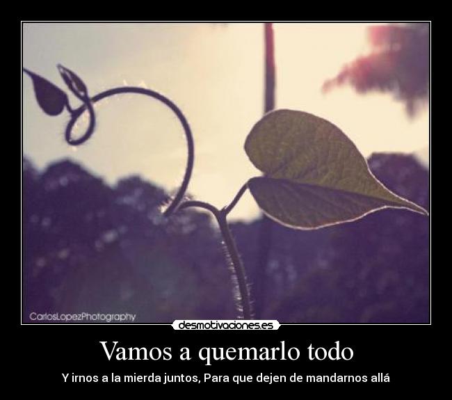 Vamos a quemarlo todo - Y irnos a la mierda juntos, Para que dejen de mandarnos allá