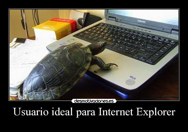 carteles internet vida que pasa cuando buscas algo explorer xdd hook desmotivaciones