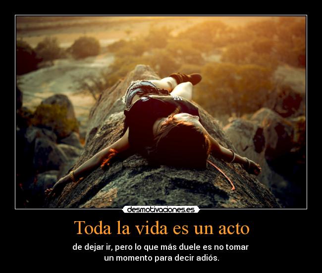 Toda la vida es un acto - de dejar ir, pero lo que más duele es no tomar
un momento para decir adiós.