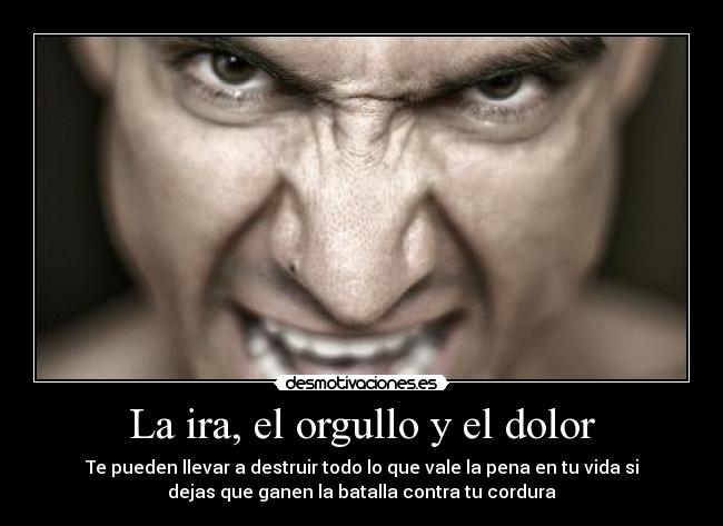 La ira, el orgullo y el dolor - 
