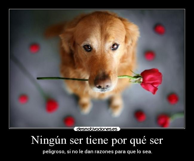 Ningún ser tiene por qué ser -