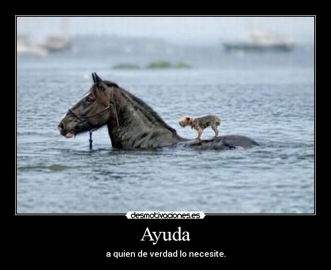Ayuda -