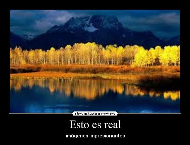 Esto es real - 