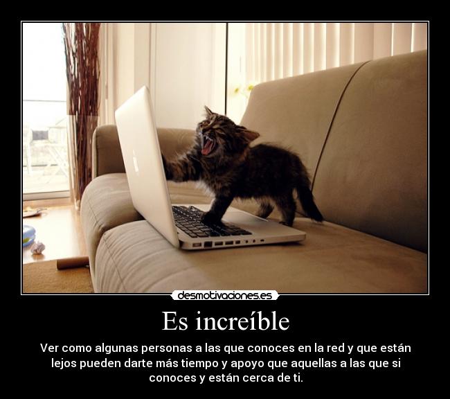 carteles dedicado los pocos que conocido que han brindado tiempo apoyo carino desmotivaciones