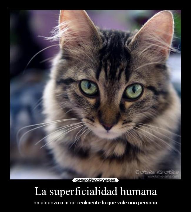 La superficialidad humana - no alcanza a mirar realmente lo que vale una persona.