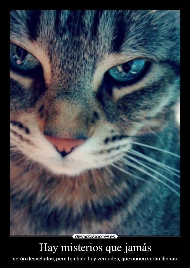 carteles telyg ejercitodemar yahoramevuelvopokehipster desmotivaciones