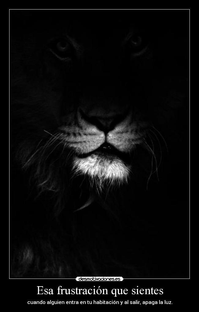 Esa frustración que sientes - cuando alguien entra en tu habitación y al salir, apaga la luz.