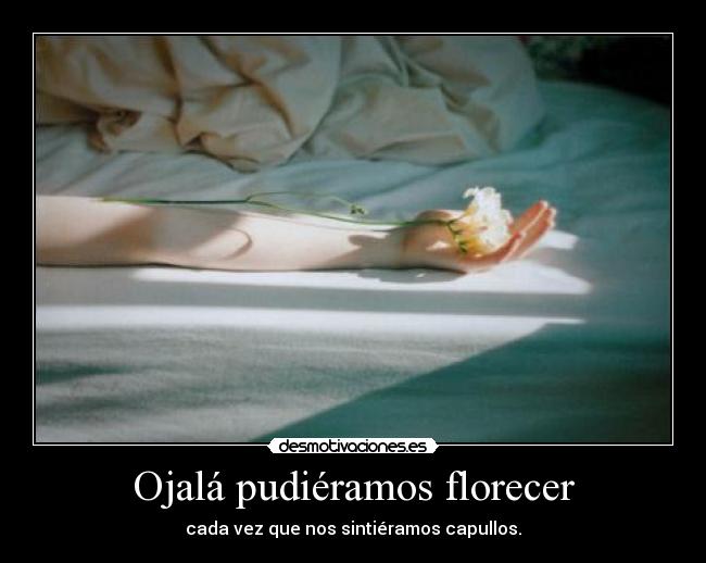 Ojalá pudiéramos florecer -