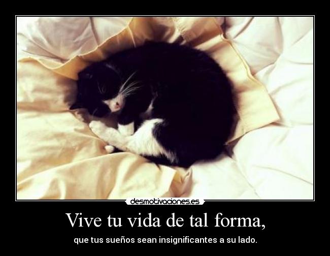 carteles vida telyg ejercitodemar yahoramevuelvopokehipster desmotivaciones